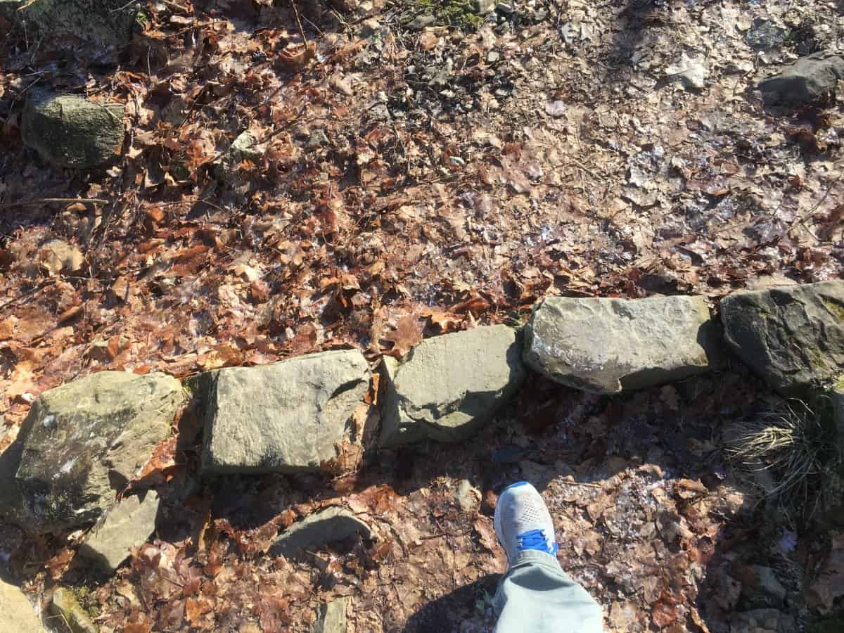 Stonestrider | Seek and Find The Sacred