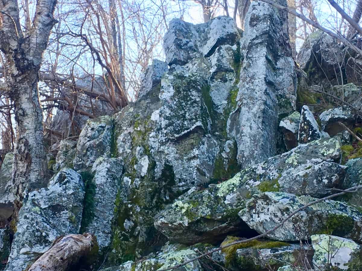 Stonestrider | Seek and Find The Sacred