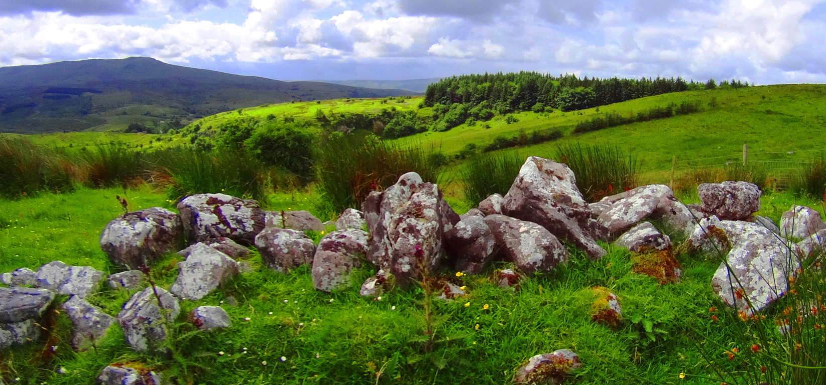 stonework celt forest (FILEminimizer)